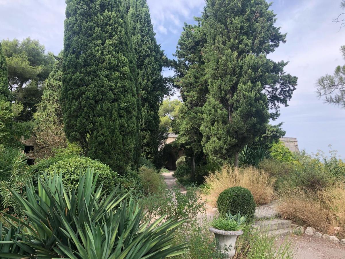 Avignon With Love Appart Hotel Авиньон Екстериор снимка